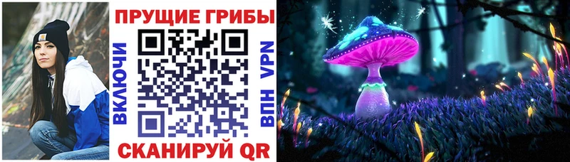 Галлюциногенные грибы мухоморы  наркота  Гвардейск 
